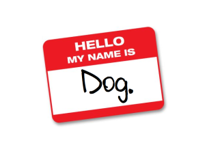 hello my name is dog